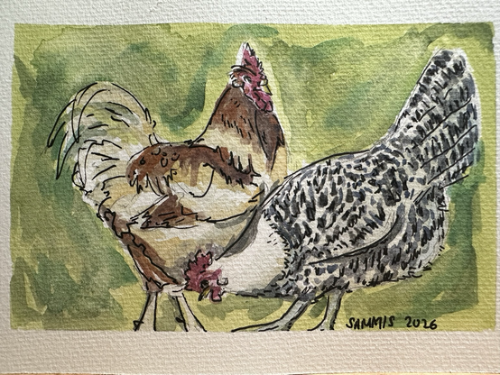 A tan and brown rooster stands tall. A speckled black and white rooster pecks for bugs.