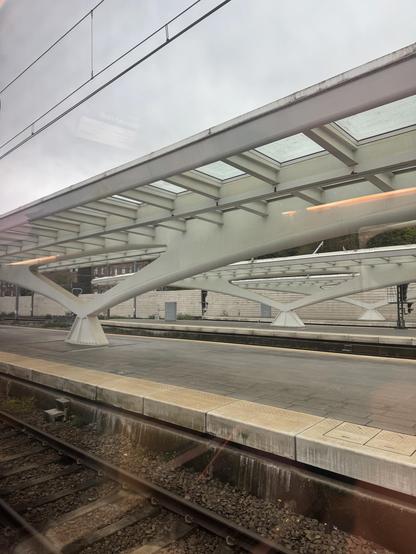 Part of the Liége central station roof structure at the end of a platform. In Calatrava style lots of natural lines.