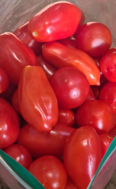 A plastic ziploc bag filled with ripe & shiny red San Marzano tomatoes.