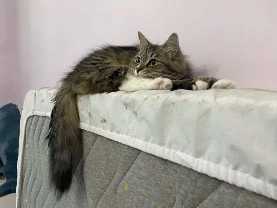 Now she's more awake, looking to the left