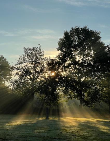 A serene landscape featuring trees silhouetted against the morning sky, with rays of sunlight filtering through the branches, illuminating a misty field.
Eine friedliche Landschaft mit Bäumen, die sich vor dem Morgenhimmel abzeichnen, während Sonnenstrahlen durch die Äste dringen und ein nebelverhangenes Feld erhellen.