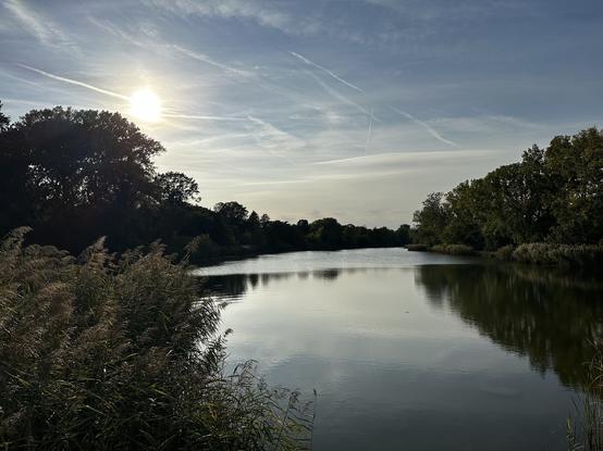 Autumn view out across a lake with wispy clouds and warm reeds and grasses