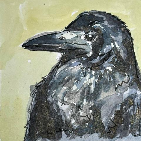 A sassy black bird in profile.