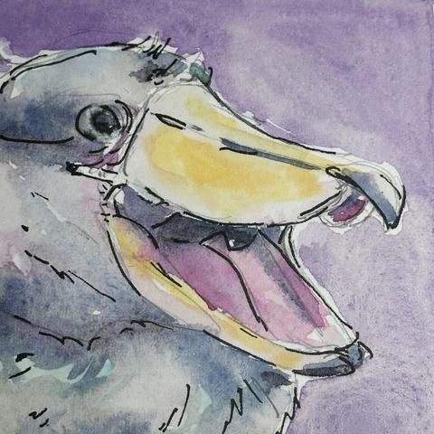 Watercolour portrait of a happy shoebill, beak open, looking quite dirpy.