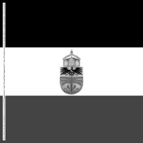 Nicht eingeführter Flaggenentwurf der deutschen Kolonie Togo. Flagge mit querstreifen in schwarz weiß und rot. In der Mitte ist ein Wappen mit der Preußischen Krone oben, dem Preußischen Adler mittig und einer von Cobras frankierten Palme unten. Die Palmwedel sind lang und detailliert fein gefächert ausgeführt.