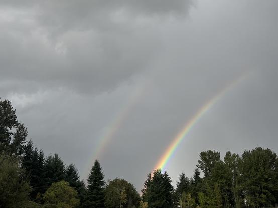 A double rainbow against an overcast sky, with trees in the foreground