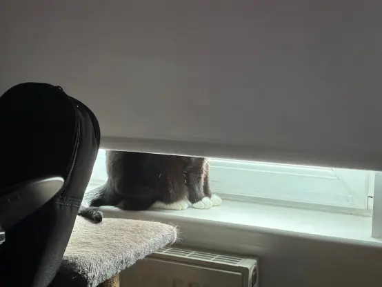 nia sitting behind a partially closed window blind so only her lower third is visible