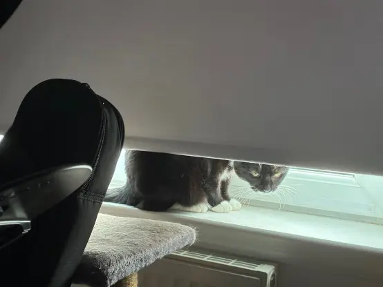 nia still sitting behind the blinds but now her face is visible staring at me