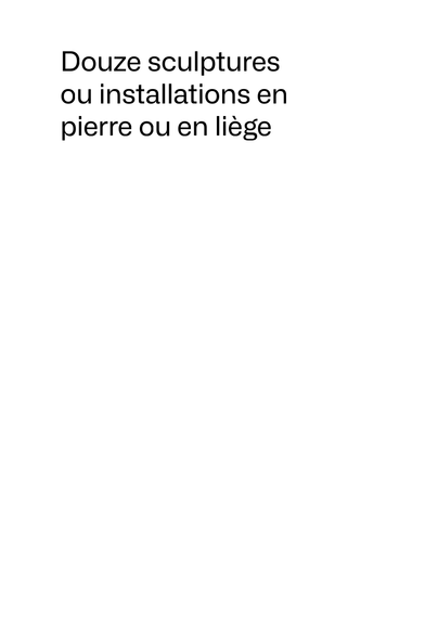 La couverture d’un catalogue parmi les nombreux possibles. En texte noir sur blanc : Douze sculptures ou installations en pierre ou en liège