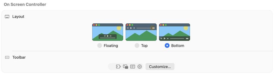 IINA video player settings for controls display