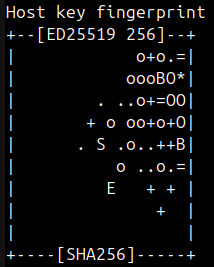 Cut part of screenshot with black Linux terminal with ssh key randomart displayed. Shape of this bunch of character is similar to silhouette of the moth on the first picture.