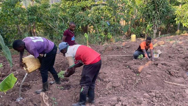Planting and watering the crops during the dry season