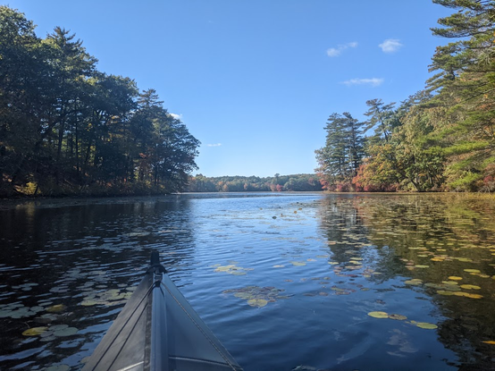 Photo from a kayak of a small channel opening into a larger lake.