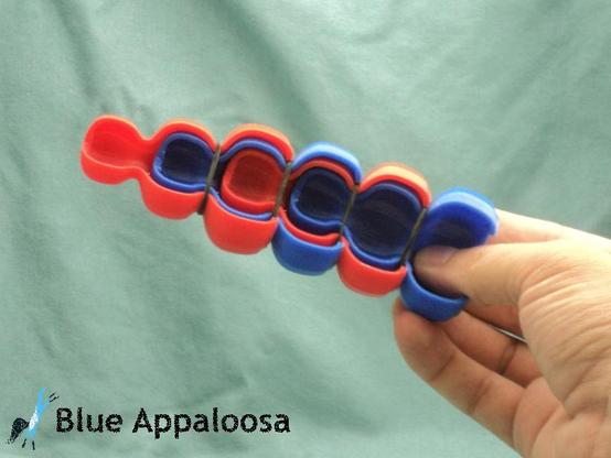 A 3d printed model of a rattlesnake's rattle held in a hand. The segments are alternating red and blue, and it's "cut open" so you can see how they interlock.
Watermark reads: Blue Appaloosa