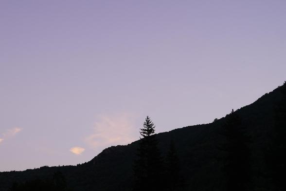 Dawn silhouette of a ridgeline with a tree on our way to Korab.