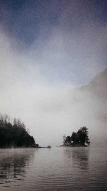 Morning light and mist on the shores of a mountain lake.