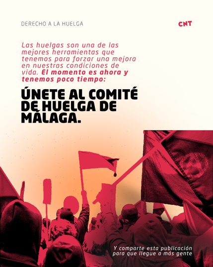 Texto: Las huelgas son una de las mejores herramientas que tenemos para forzar una mejora en nuestras condiciones de vida. El momento es ahora y tenemos poco tiempo: únete al comité de huelga de Málaga. Y comparte esta publicación
para que llegue a más gente.

Imagen: Un grupo de manifestantes portando banderas.