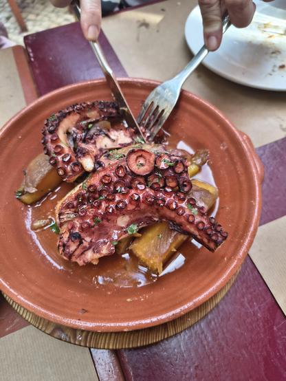 Large grilled octopus tentacles sitting on roasted sweet potatoes