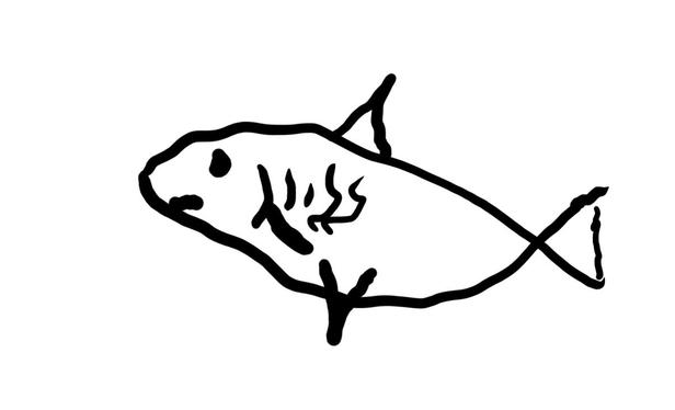 The crudely drawn shark now holds the cigar in its gills.