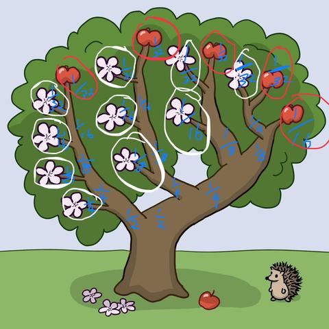 The same tree diagram as before, but with probability fractions marked at each branching. They start at 1/2:1/2, then 1/4:1/4 etc out to the previously noted winning positions, which are circled and have the probabilities listed in the body of the post.