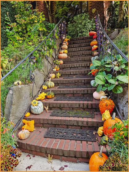 The stairs leading up from a street to a house above are lined with  various colorful winter squash and pumpkins. Twelve brick steps with an iron railing have each one a small display on each side of one to three squash. There are warty and smooth orange pumpkins, running the color gamut from pastel to vibrant orange. There are star shaped yelliw and orange squash. There are striped orange and green pumpkins. There are some robin egg blue squash. The retaining walls along the stairs are bordered with green plants, making the whole scene most inviting.