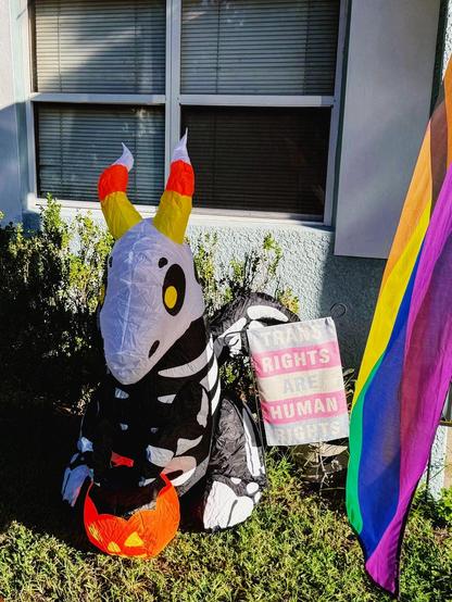 an inflatable skeleton dragon with a pumpkin basket, next to a pride flag and a trans rights flag in the daytime
