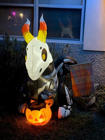 an inflatable skeleton dragon with a pumpkin basket, next to a pride flag and a trans rights flag in the nighttime