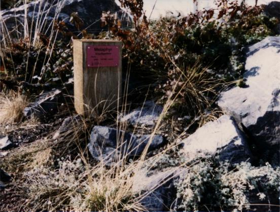 Foto im Querformat. Einige helle Steinbrocken liegen auf einem bewachsenen Stück Erde. Dahinter steht ein Steinblock mit einem pinkfarbenen Schild, das die Sorte angibt: Melaphyr.