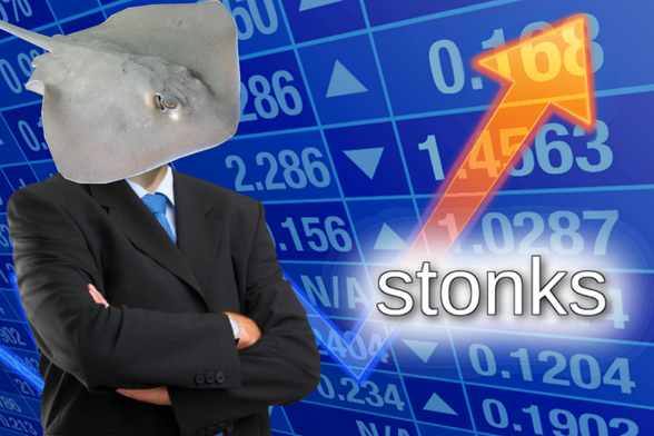 The "stonks" meme, with a stingray (crudely) pasted over Meme Man's head.