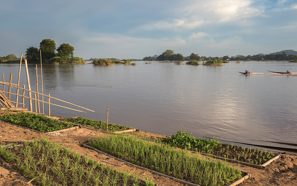 Kitchen garden on a Mekong bank, Don Loppadi

By Basile Morin - Own work, CC BY-SA 4.0, https://commons.wikimedia.org/w/index.php?curid=65175344