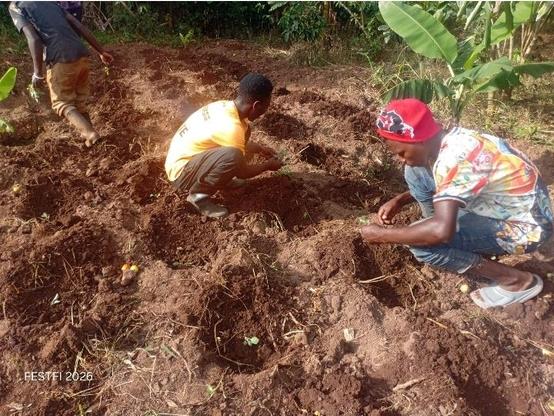Young farmers from Fill the Empty Stomachs Farming Initiative planting seedlings into the soil.