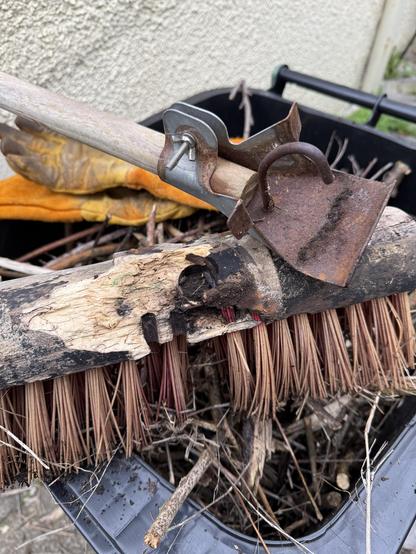 A broken garden broom. The wooden head of it with the bristles has rotted and there are woodlice in it.