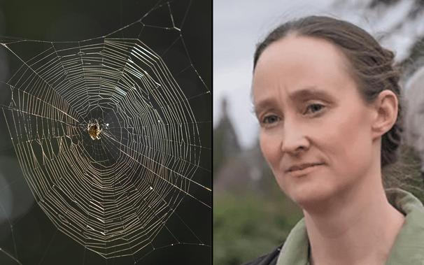 Image on left of spider in web and image on right of Seattle Mayor Katie Wilson listening concerned to someone outside on gray overcast day