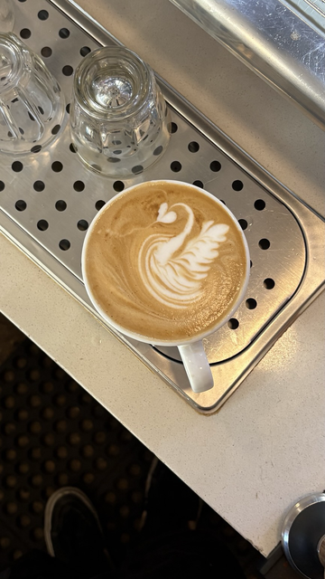 Latte arte de una cisne 🦢