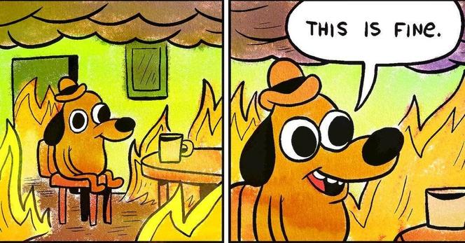 “This is fine.” meme with dog sat in burning house