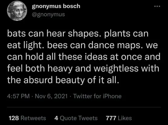 gnonymus bosch 

bats can hear shapes. plants can eat light. bees can dance maps. we can hold all these ideas at once and feel both heavy and weightless with the absurd beauty of it all.
