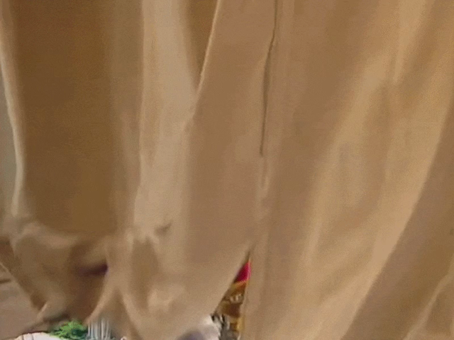 GIF of Link Hogthrob, Fozzie Bear, Rizzo the Rat, Scooter, Gonzo, and Lew Zealand running through a series of curtains that keep closing in front of them