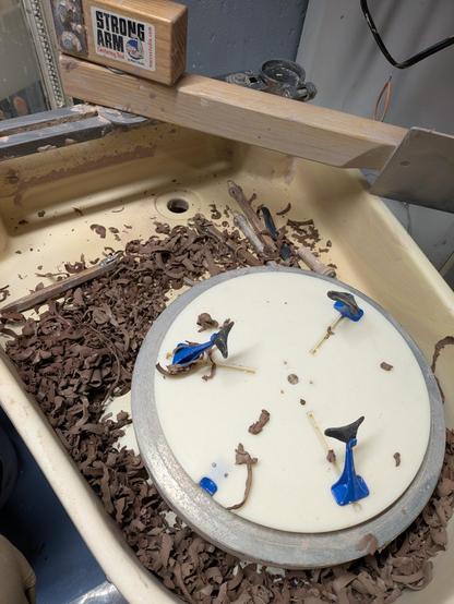 My wheel filled with tan stoneware clay shavings. Wooden handled trimming tools are sitting on the wheel pan. On the wheel is a giffen grip mini which makes holding the pots for trimming easier.