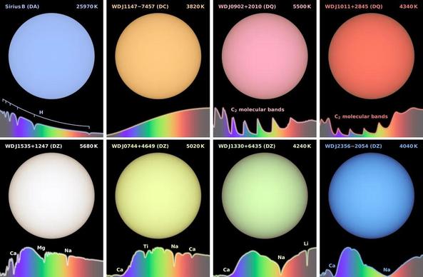 An image of 8 dwarf stars in different colors derived from their spectra. Blue, yellow, pink, salmon, purple, and green!