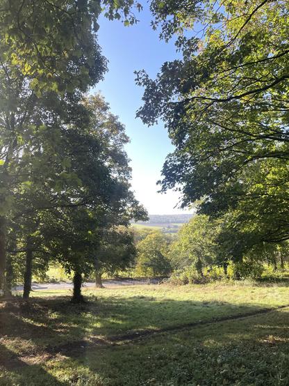 A view across the river from Kings Weston