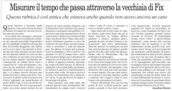 Que­sta rubrica è ini­ziata molti anni fa, così tanti che mi ha fatto ricor­dare il tempo in cui non ave­vamo ancora un cane.

Così tanti che riem­pivo rubri­che di lamen­tele per le assil­lanti richie­ste di cane dei miei figli. Soprat­tutto per le assil­lanti richie­ste di una dei due, la sorella mag­giore, che allora aveva nove anni e ha ini­ziato a desi­de­rare un cane intorno ai nove mesi di vita. Que­sta rubrica è così vec­chia che con­tiene il rac­conto del giorno in cui siamo andati, total­mente incon­sa­pe­voli, al canile fuori città a cono­scere il “cane buo­nis­simo” tro­vato in un annun­cio online (avevo goo­glato, una sera: cane pic­colo Roma), e ci siamo tro­vati davanti uno strano hot dog, o forse una foca. Cor­reva per il prato nella sua mezz’ora d’aria, agi­tando un mon­che­rino al posto della coda, e non era molto inte­res­sato a noi. Ne aveva già pas­sate tante, era stato quasi ucciso da un branco di cani ran­dagi. Eppure era lì fidu­cioso, non con­tento ma quasi, dispo­sto a inse­guire una pal­lina. Come pote­vamo non inna­mo­rarci di un cane basso e fidu­cioso a forma di hot dog e anche di foca? Dopo una set­ti­mana l’abbiamo por­tato a casa, ha vomi­tato in mac­china, poi ha comin­ciato a sor­ri­dere e non ha smesso più. Da allora, la frase più pro­nun­ciata in fami­glia è: Fix è uscito? Da quando c’è lui, il tempo non è stato più il nostro tempo, ma è diven­tato il tempo in cui il cane deve uscire, non è uscito, è appena tor­nato, nes­suno ha voglia di farlo uscire. E allora liti­ghiamo o fac­ciamo delle pro­messe: se adesso lo porti tu, dopo­do­mani io lo porto due volte. Se non lo porti ti uccido. Se domat­tina che è dome­nica vai tu, io poi gli fac­cio il bagno e lo asciugo col phon.

Sono pas­sati così tanti anni che adesso que­sto cane buo­nis­simo che nono­stante le zampe corte cor­reva veloce come il vento, è anziano, è cieco e sbatte con­tro i muri.

Ogni tanto gli si bloc­cano le zampe die­tro, ogni tanto finge che gli si siano bloc­cate le zampe die­tro: quando è stanco, quando piove, quando decide di fare l’attore e inter­pre­tare una foca infor­tu­nata. Non ha smesso di sem­brare un hot dog, non ha smesso di agi­tare quella spe­cie di coda ogni volta che gli par­liamo, che lo chia­miamo, che gli met­tiamo il guin­za­glio.

Negli anni ha accet­tato di divi­dere la casa con troppi gatti, ha accet­tato che gli rubino la cuc­cia di con­ti­nuo, ha accet­tato che man­gino cose deli­ziose che a lui non sono per­messe sennò vomita. Era un cane ansioso e adesso è un cane anziano, sordo e ansioso che capi­sce come ci sen­tiamo solo pas­san­doci accanto.

Vor­rei chie­der­gli: Fix, ma tu cosa pensi di noi, cos’hai pen­sato quel giorno quando ci hai visti arri­vare, così impac­ciati? Cos’hai pen­sato quando sei salito in mac­china, in brac­cio a una bam­bina di dieci anni? Cos’hai pen­sato quando siamo arri­vati in Gre­cia? Ti sem­briamo scemi, certe volte? A quest’ultima domanda, sono sicura dal sor­riso sbi­lenco che la rispo­sta è: sì. Gli sem­briamo scemi per­ché non ado­riamo stare fermi sul mar­cia­piede ad annu­sare quell’angolo di muro, gli sem­briamo scemi per­ché stiamo per ore con un coso in mano che a volte gli pun­tiamo addosso, a volte ce lo appog­giamo sull’orec­chio, ma la mag­gior parte del tempo fis­siamo que­sto coso ine­be­titi invece di inse­guire una pal­lina o di dor­mire o di annu­sare dei rifiuti per terra. Gli sem­briamo scemi da molti anni, ma ci ama fol­le­mente lo stesso e ci per­dona se la mat­tina lo por­tiamo fuori sem­pre troppo tardi. Il nostro tempo è diven­tato tutta la vita di Fix.