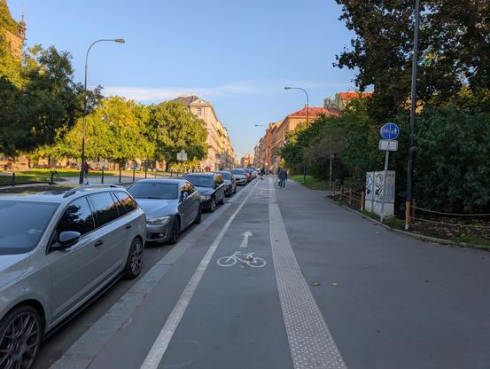 Cycling lane on a wide sidewalk between a park and a row of cars parked parallel to the street.