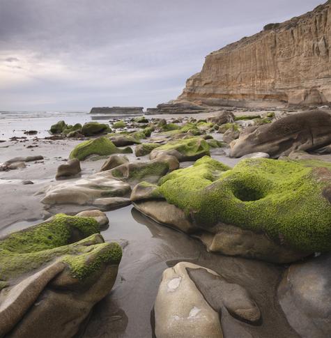 A color photograph of mossy rocks along the beach at Torrey Pines, San Diego, California. Beach cliffs rise in the distance with rainclouds on the horizon.
