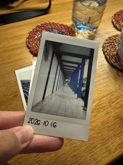 Uma falha no rolamento da química do filme da Instax mini criou um artefato que parece com uma folhagem marrom em uma parede branca de uma foto do corredor que tirei hoje, 16 de outubro.