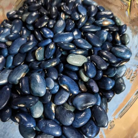 Dark blue dry beans in a glass mason jar, viewed through the jar opening at top.