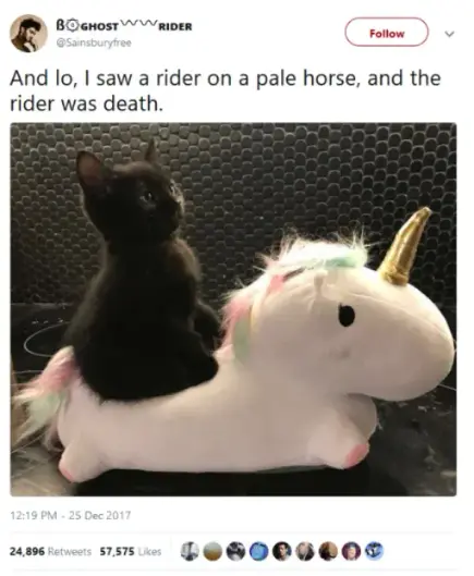 Screenshot of a tweet.  A photo of a small unicorn plushie with very short legs, seen in profile, is being ridden by an even smaller black kitten.  Text reads:   And lo, I saw a rider on a pale horse, and the rider was death