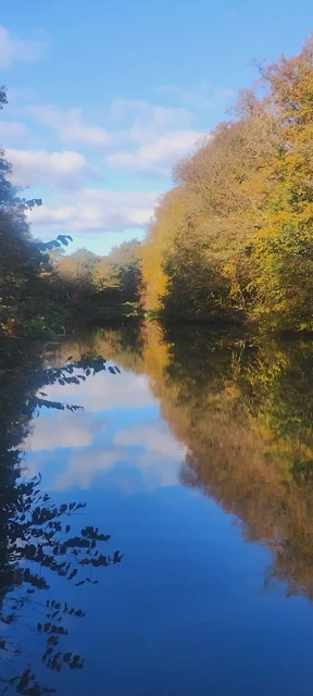 Panning 180 degrees around the Forth and Clyde Canal on an autumn day, the golden light making the colours on the trees glow, and reflect the trees, foliage and sky in the waters