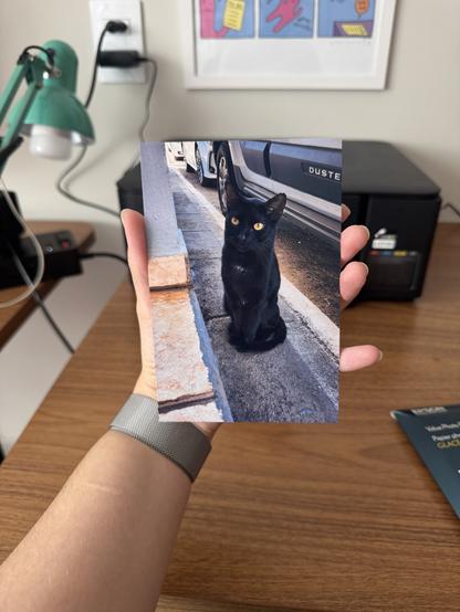 My left hand holds a printed photograph of Panterinha next to a couple of cars at Casa Pomar.