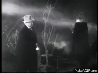 Clip from the 1950s B movie Plan Nine From Outer Space, with one protagonist wheeling around in a misty graveyard at night to see Vampira bearing down on him