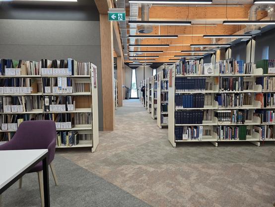 Interior with bookshelves and a distinctive distant window
